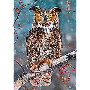 Great Horned Owl Puzzle 500 Pieces