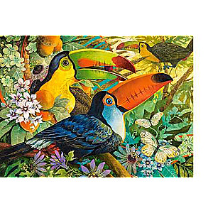Puzzle 3000 CASTORLAND Interlude