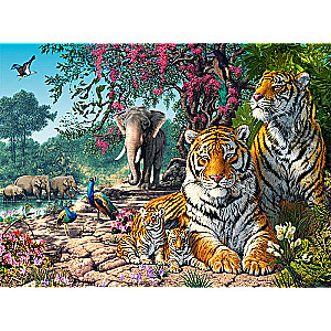 Puzzle Tiger Sanctuarys 3000 pcs