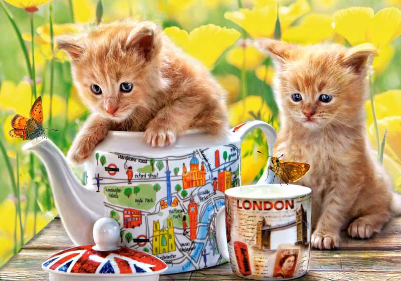 Puzzle 500 CASTORLAND Tea Time Kittens