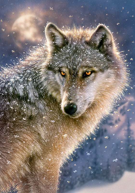 Puzzle Lone Wolf 500 pcs