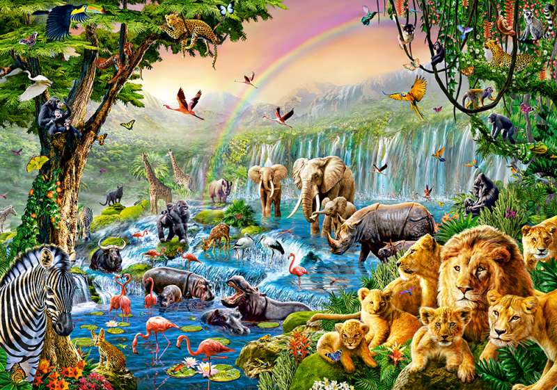500 Piece Puzzle CASTORLAND Waterfall in the Jungle