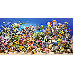 Puzzle 4000 CASTORLAND Underwater Life