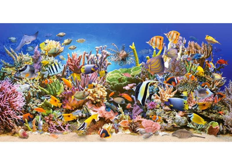 Puzzle 4000 CASTORLAND Underwater Life