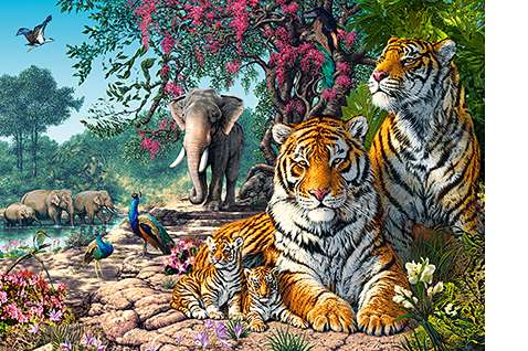CASTORLAND Tiger Sanctuary Puzzle 300 pcs