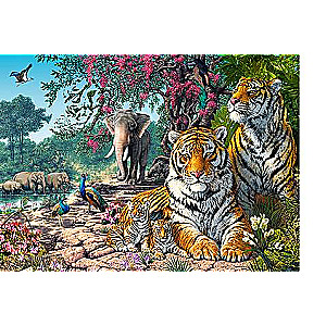 CASTORLAND Tiger Sanctuary Puzzle 300 pcs