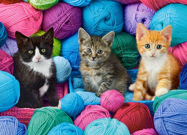 Puzzle CASTORLAND Kittens with Yarn 300 pieces