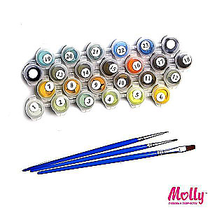 Painting by Numbers 30X30 ACCOMPANIMENT 20 colors