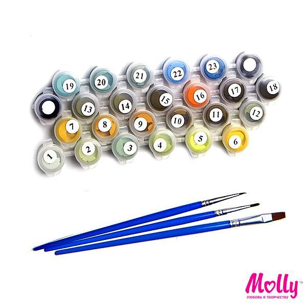 Painting by Numbers 30X30 ACCOMPANIMENT 20 colors