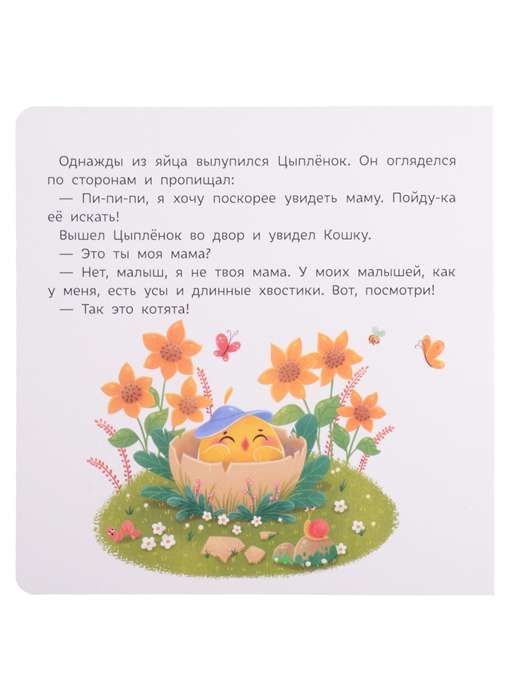 Цыплёнок ищет маму