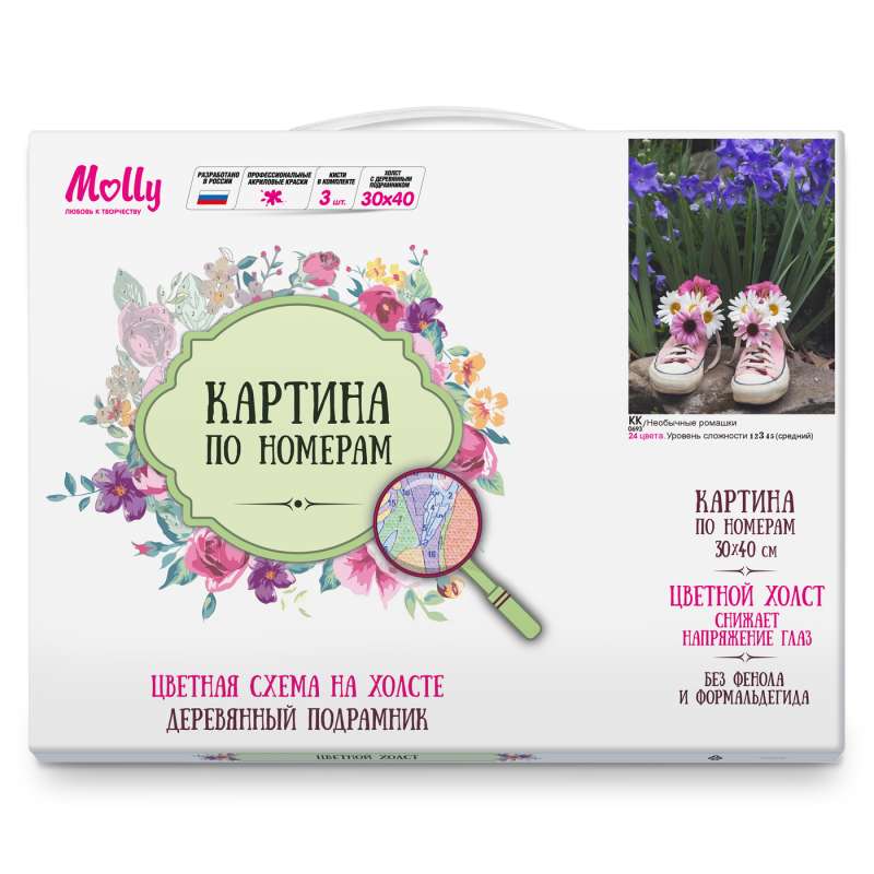 Картина по номерам  (30х40) Цветной холст  НЕОБЫЧНЫЕ РОМАШКИ (24 цвета) 