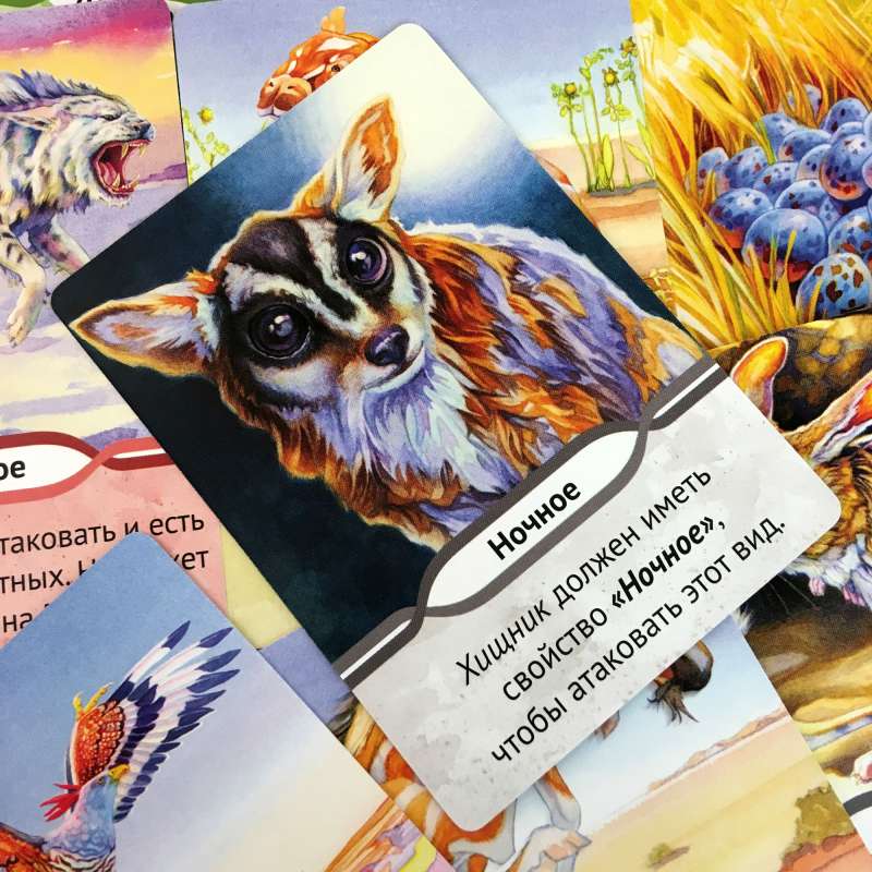 Карточная игра  Эволюция.Биология для начинающих