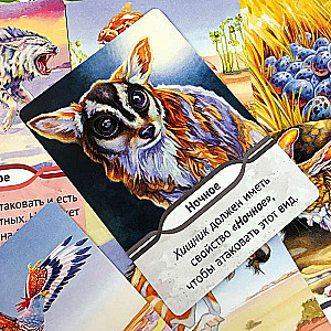 Карточная игра  Эволюция.Биология для начинающих