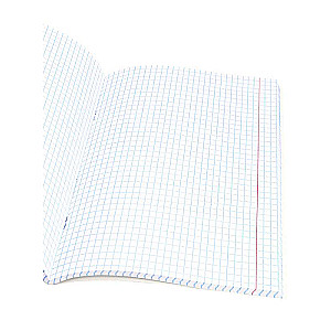Notebook - Cat Tenderness, A5, 96 sheets, grid, assorted