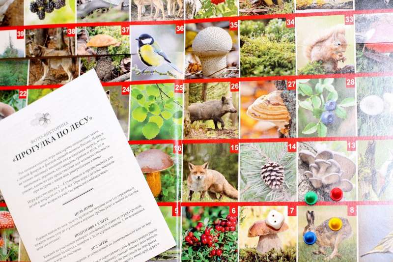 Gra planszowa chodzik FOTOquiz Spacer po lesie