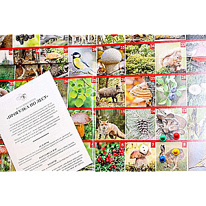 Gra planszowa chodzik FOTOquiz Spacer po lesie