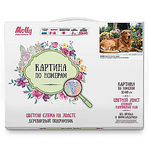 Картина по номерам  -ЗОЛОТИСТЫЙ РЕТРИВЕР (18 цветов)