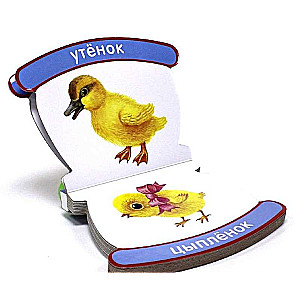 Животные