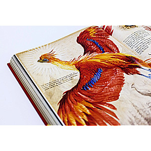 Joanne Rowling: Harry Potter i Komnata Tajemnic