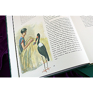 Joanne Rowling: Harry Potter i Czara Ognia. Deluxe Illustrated Slipcase Edition