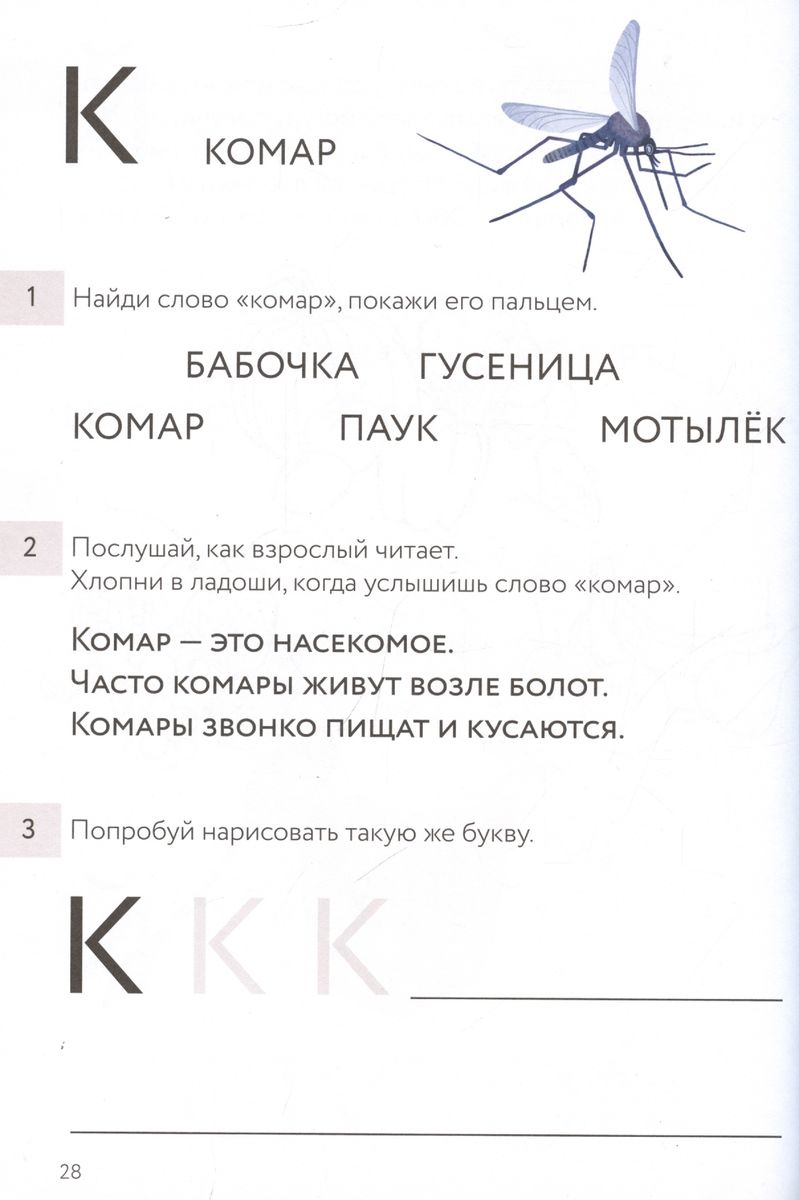 Alphabet Book
