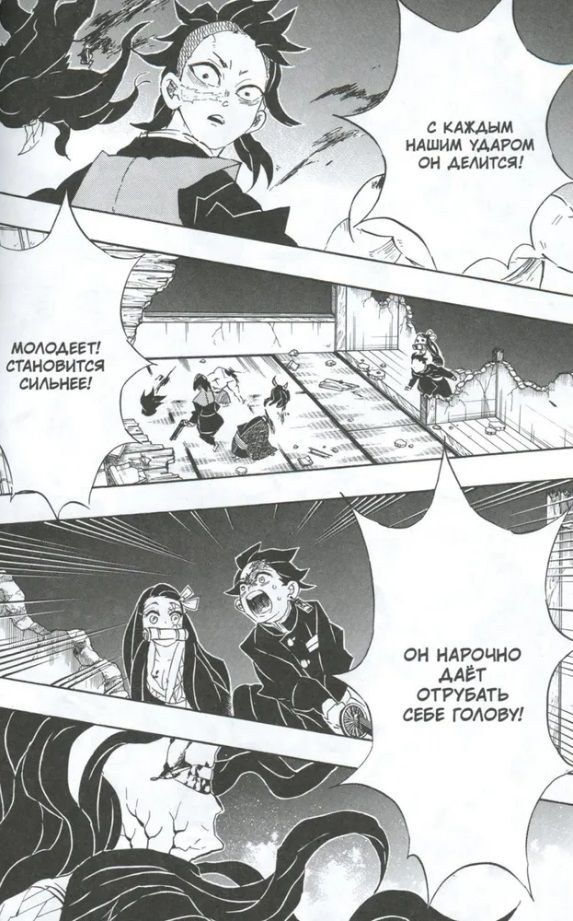 Demon Slayer. Volume 13. Changes