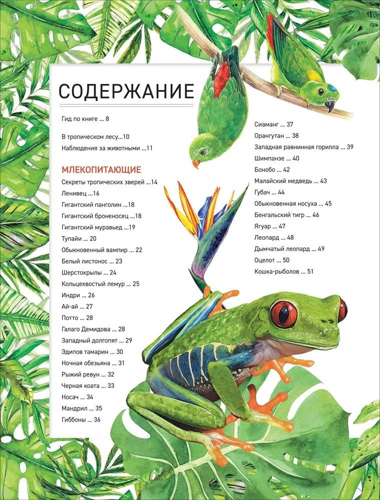 Amazing Animals. Complete Encyclopedia