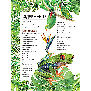 Amazing Animals. Complete Encyclopedia