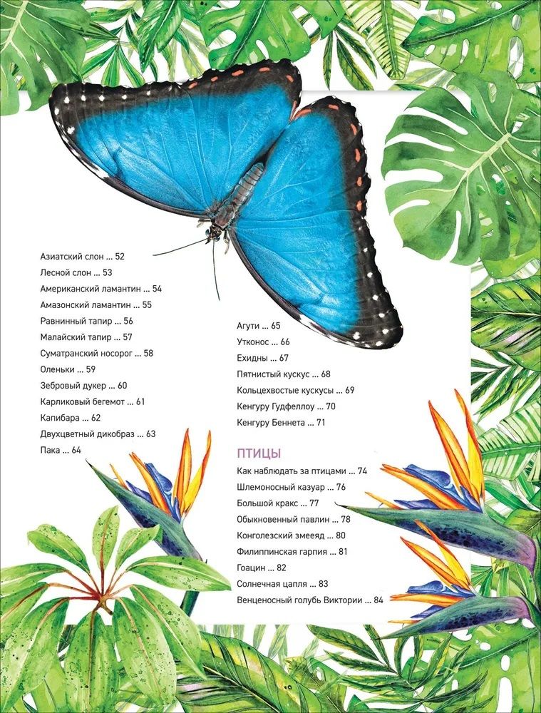 Amazing Animals. Complete Encyclopedia