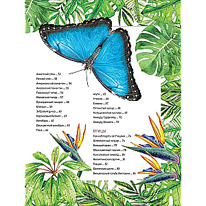 Amazing Animals. Complete Encyclopedia