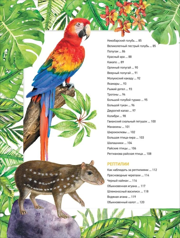 Amazing Animals. Complete Encyclopedia