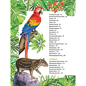 Amazing Animals. Complete Encyclopedia