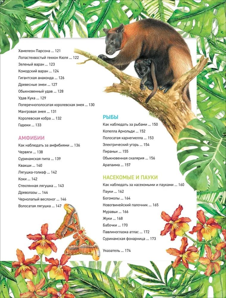 Amazing Animals. Complete Encyclopedia