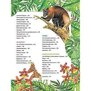 Amazing Animals. Complete Encyclopedia