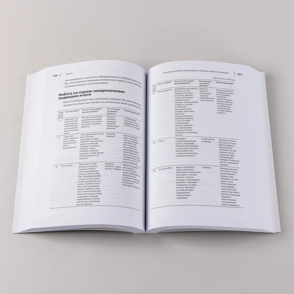 The Professional Scrum Master's Guide: Practical Tips for Implementing Agile Approaches