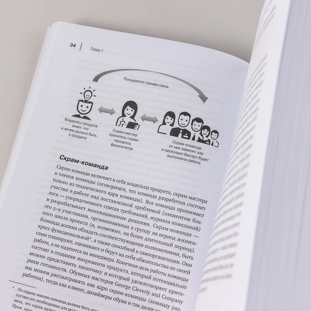 The Professional Scrum Master's Guide: Practical Tips for Implementing Agile Approaches