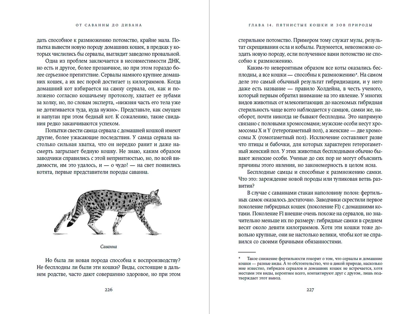 From Savannah to Sofa: The Evolutionary History of Cats