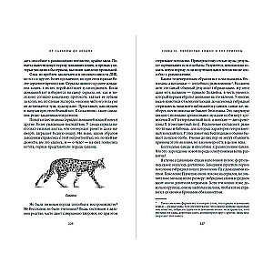 From Savannah to Sofa: The Evolutionary History of Cats