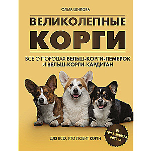 Magnificent Corgis. All about the breeds Welsh Corgi Pembroke and Welsh Corgi Cardigan