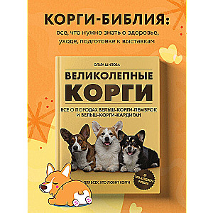 Magnificent Corgis. All about the breeds Welsh Corgi Pembroke and Welsh Corgi Cardigan