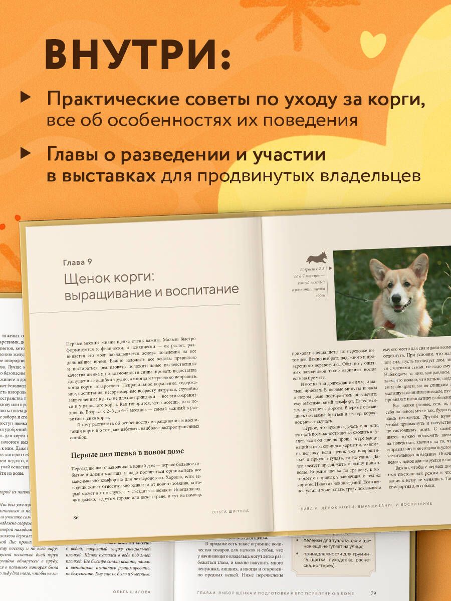 Magnificent Corgis. All about the breeds Welsh Corgi Pembroke and Welsh Corgi Cardigan
