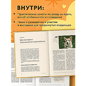 Magnificent Corgis. All about the breeds Welsh Corgi Pembroke and Welsh Corgi Cardigan