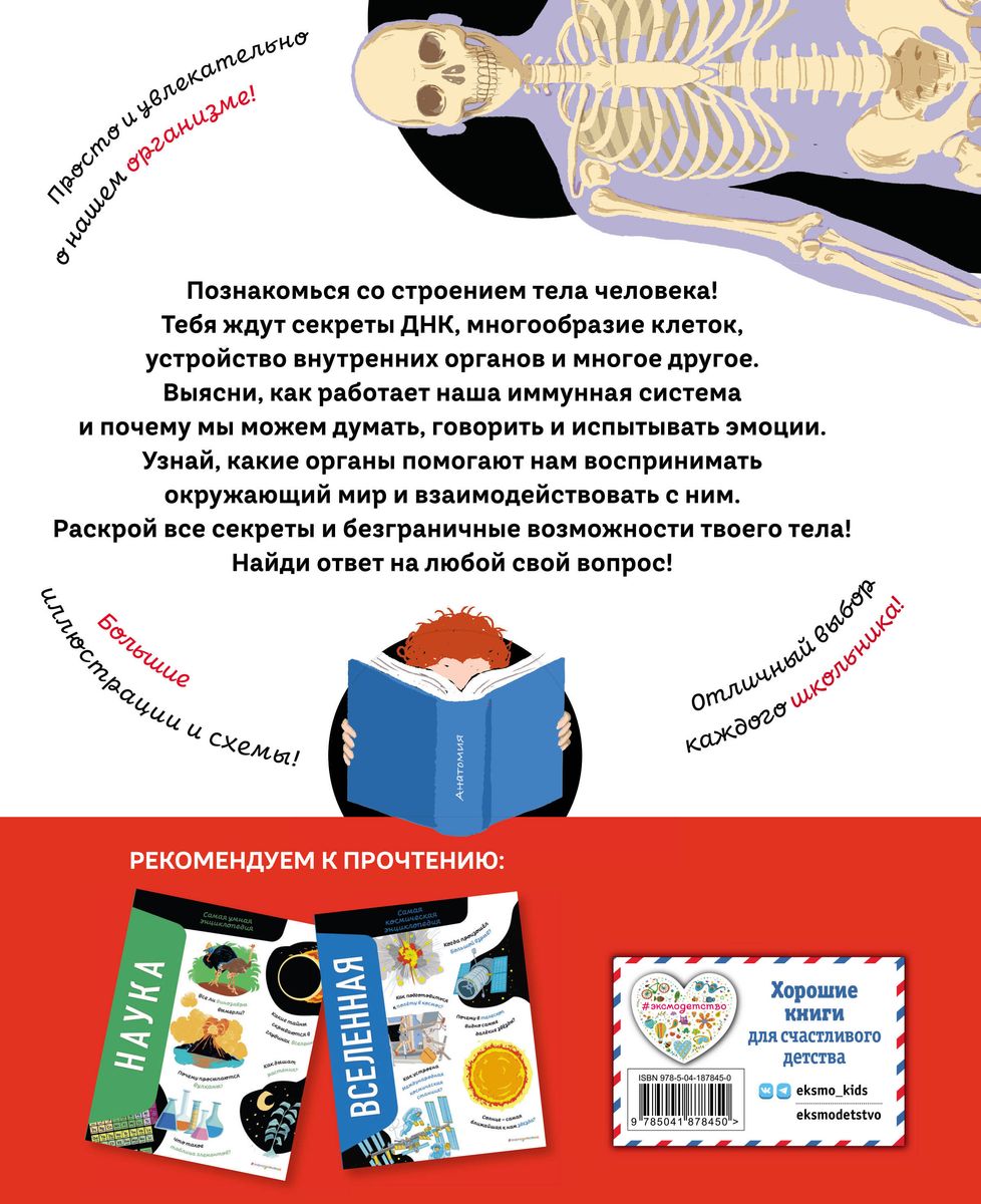 The Human Body. The Most Anatomical Encyclopedia