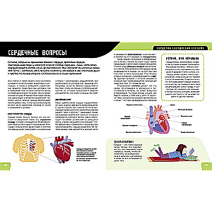 The Human Body. The Most Anatomical Encyclopedia