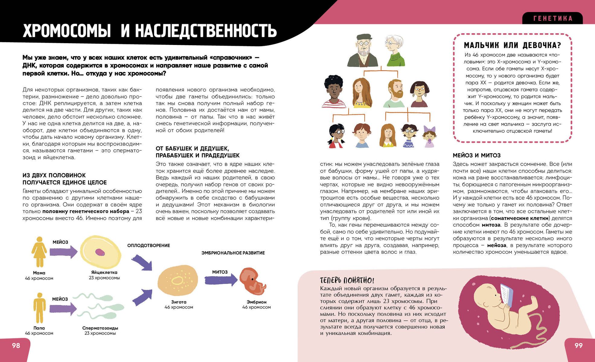 The Human Body. The Most Anatomical Encyclopedia