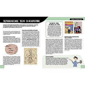 The Human Body. The Most Anatomical Encyclopedia