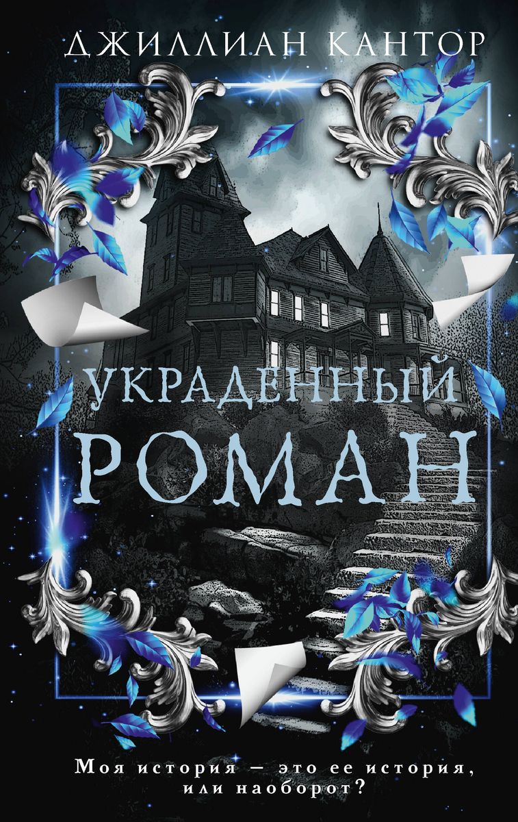 The Stolen Novel