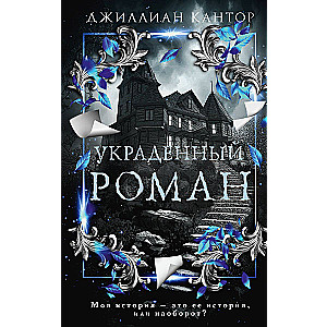 The Stolen Novel