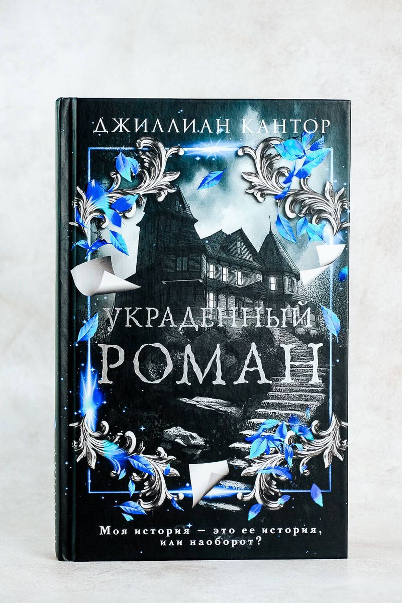 The Stolen Novel