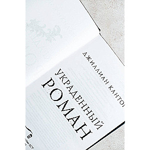 The Stolen Novel